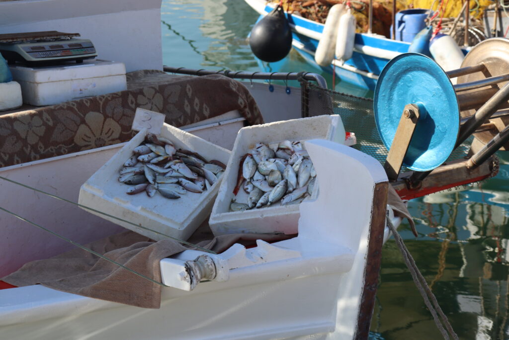 Poissons fraîchement pêchés | © Traverse(s