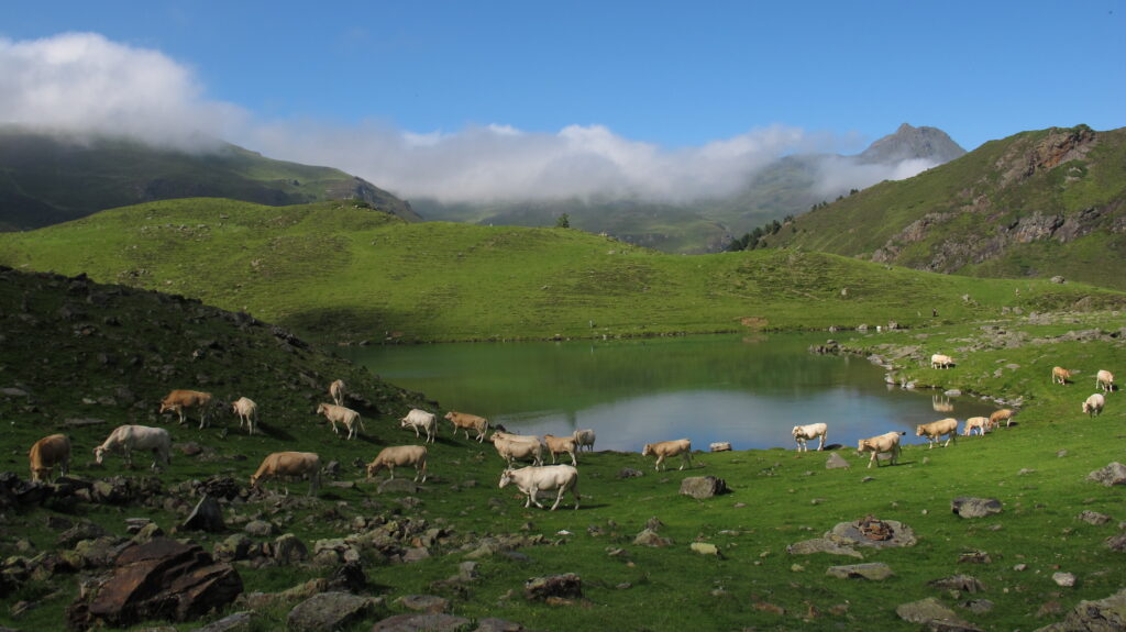 Le lac d’Ourrec et les pelouses au pied du soum de Lascours | © Traverse(s)