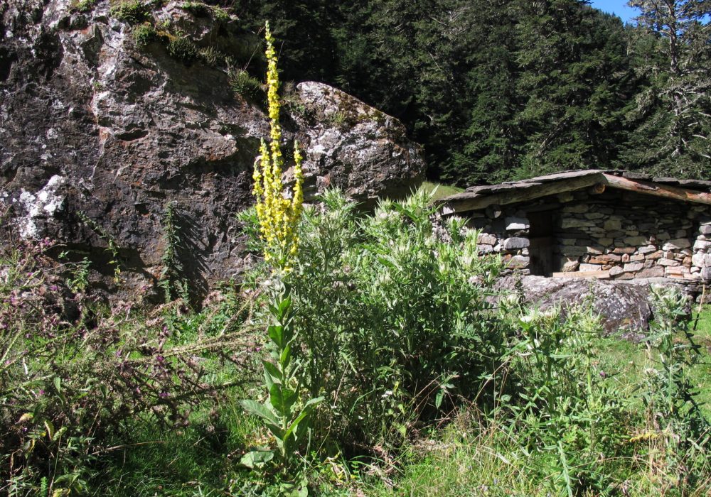 Cabanes de l’Haya | © Traverse(s)
